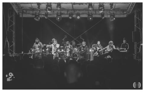 The Congos